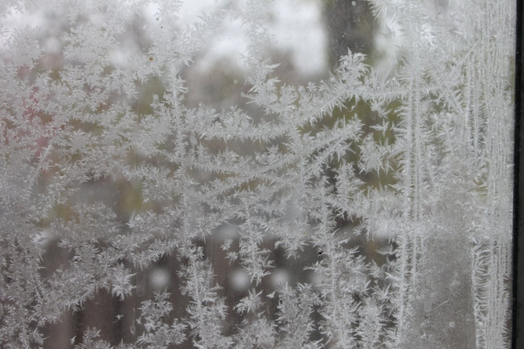 ice on window