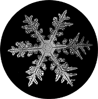 Snow Crystal Image