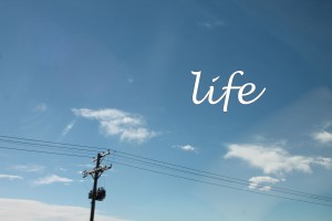 a series exploring the concept of life- what it is and what it means to have it.